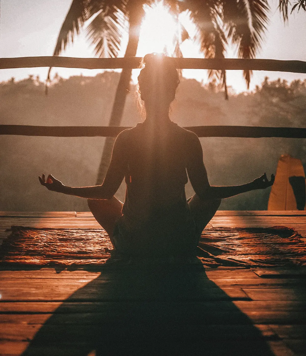 Traditional wellness heritage